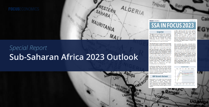 Брошюра о перспективах развития стран Африки к югу от Сахары на 2023 год